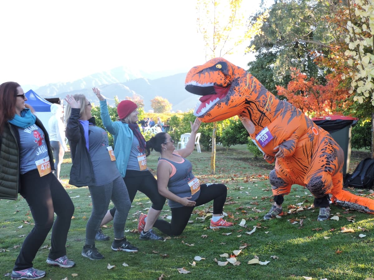 Saint Clair Vineyard Half Marathon 2017 - over $60,000 fundraised!