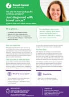 Risk Factors for Bowel Cancer